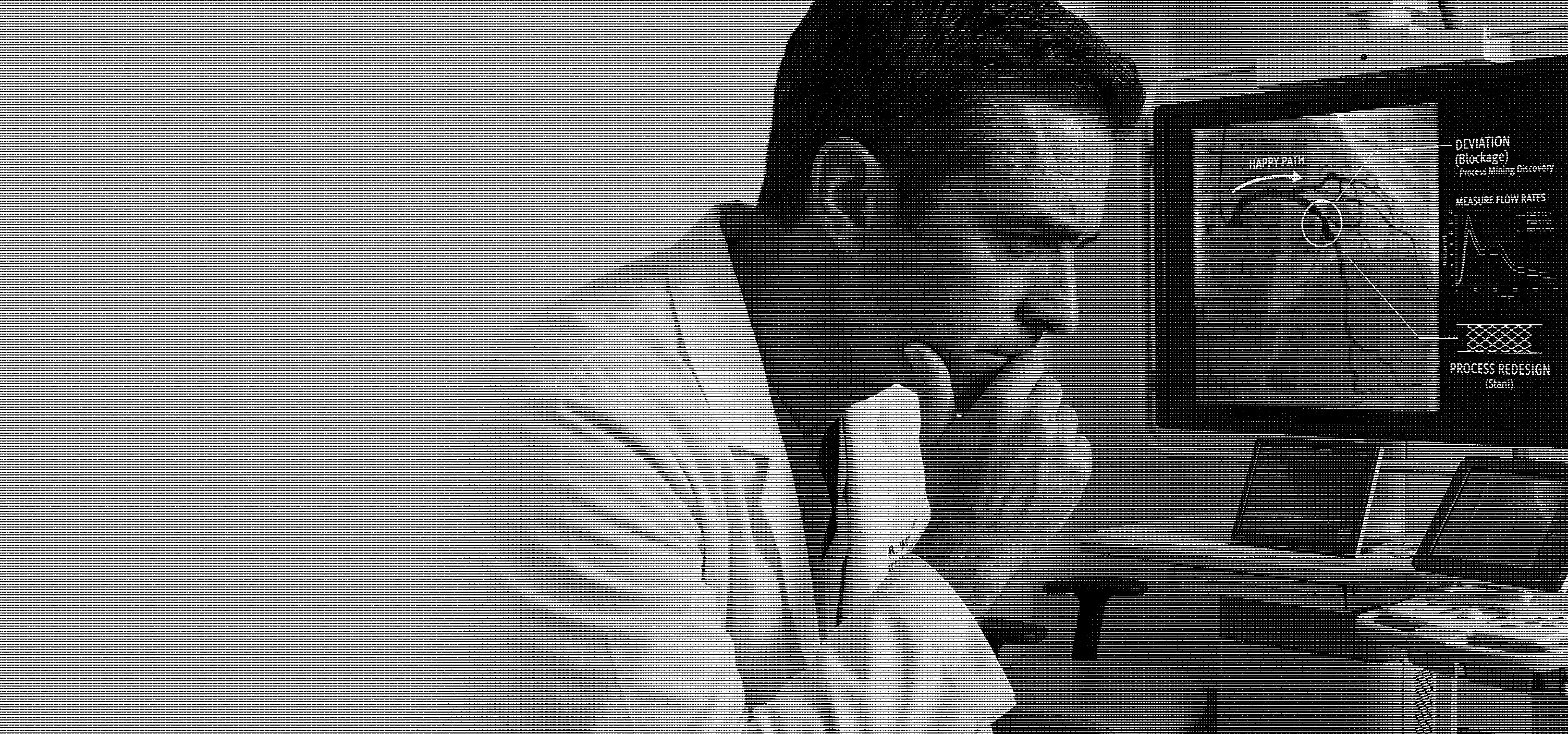 Global Process Owner reviewing a strategic end-to-end process map